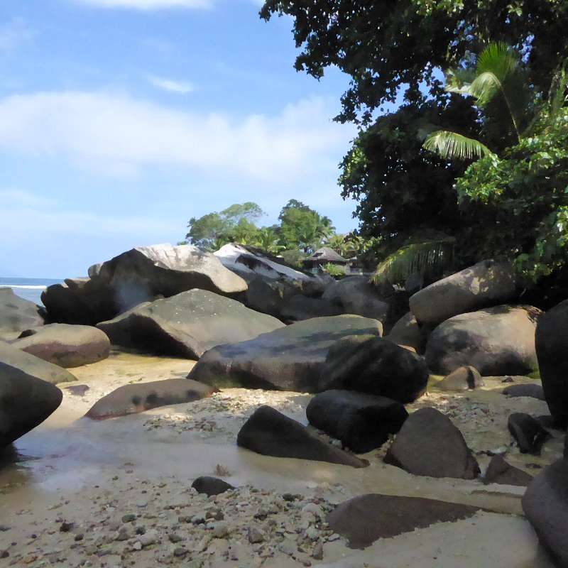 Hilton Northolme Seychelles Bungalowanlagen Garten Tropischer Garten