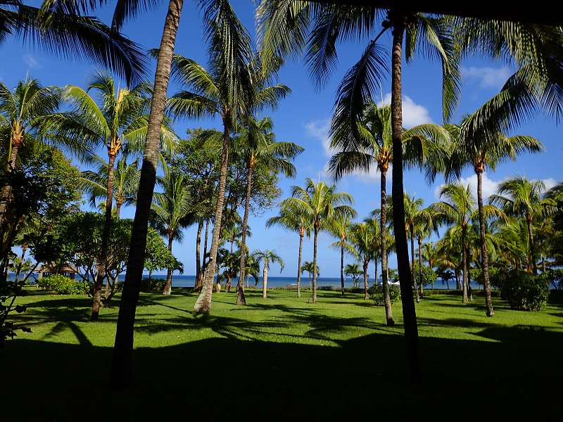 Mauritius Garten Schnorcheln Le Victoria Beachcomber Hotel Mauritius Garden 