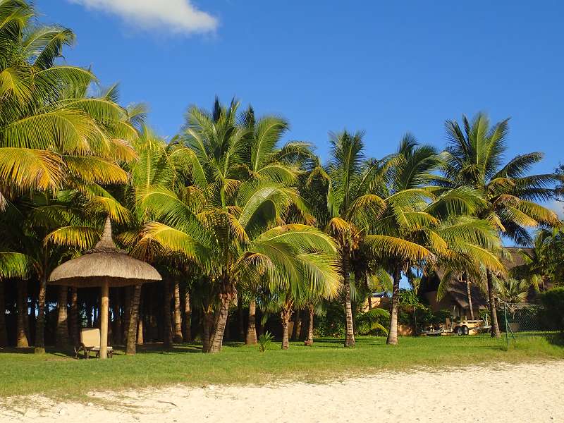 Mauritius Garten Schnorcheln Le Victoria Beachcomber Hotel Mauritius Garden 