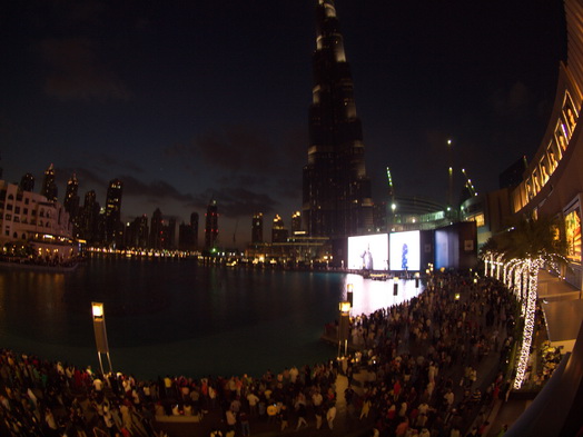 Dubai  Khalifa Fish eye 