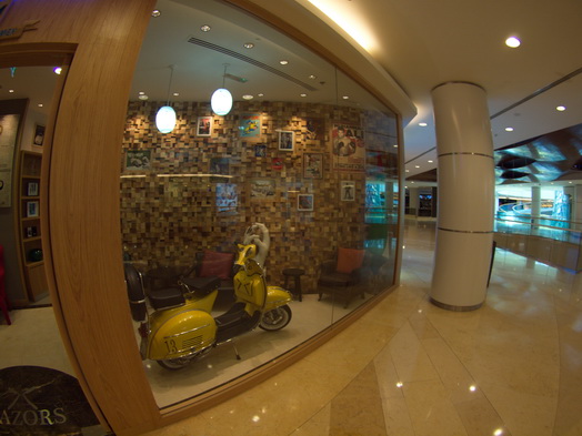 dubai raffles hotel Fish Eye