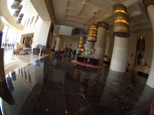 dubai raffles hotel Fish Eye