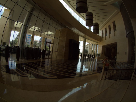 dubai raffles hotel Fish Eye