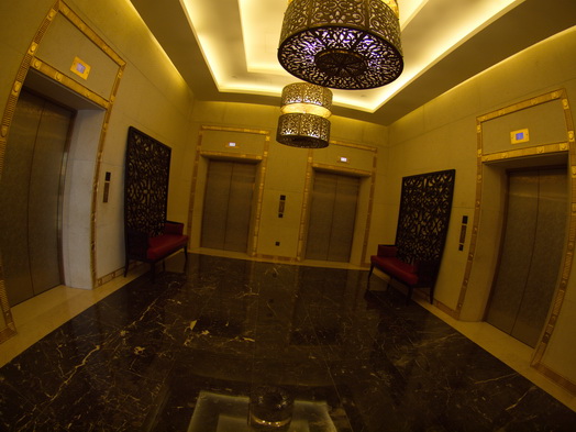 dubai raffles hotel Fish Eye