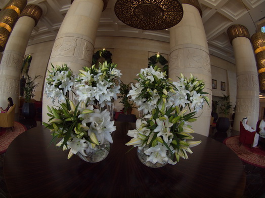 dubai raffles hotel Fish Eye