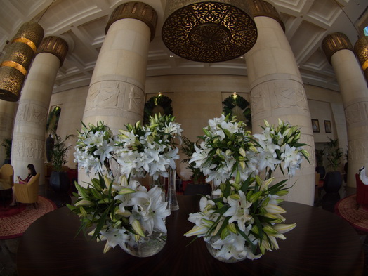 dubai raffles hotel Fish Eye