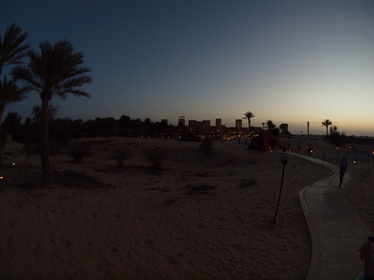 Dubai Sunset Tour Kamele Falken Sundowner