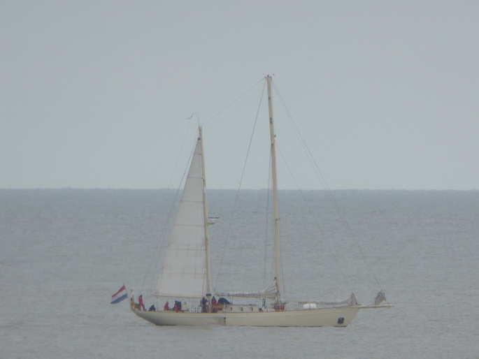 Scheveningen Segler Seglerparade Segelschiffe