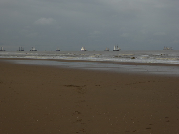 Scheveningen Segler Seglerparade Segelschiff