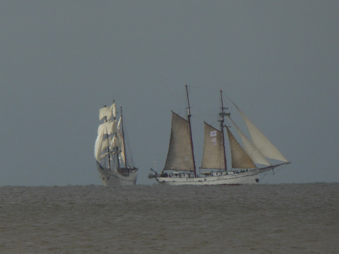 Scheveningen Segler Seglerparade Segelschiff