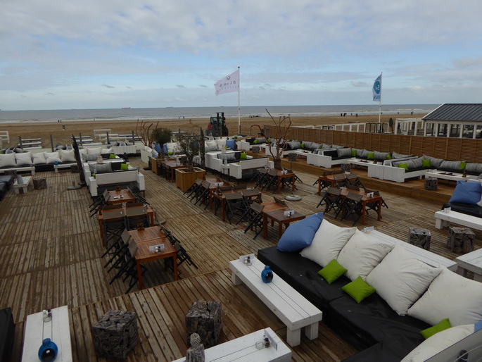 Scheveningen Seesterne nach dem Sturm Seestern