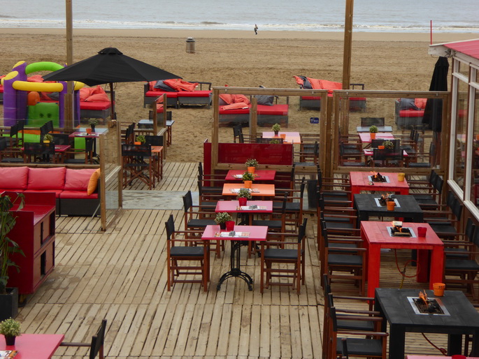 Scheveningen Seesterne nach dem Sturm Seestern
