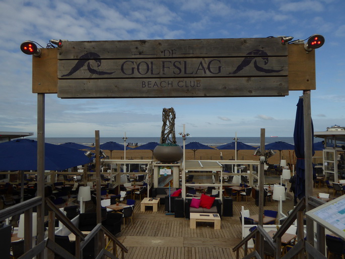 Scheveningen Seesterne nach dem Sturm Seestern