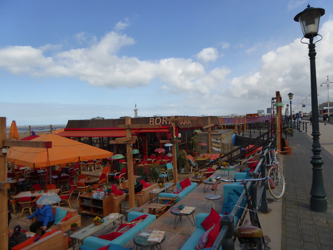 Scheveningen Seesterne nach dem Sturm Seestern