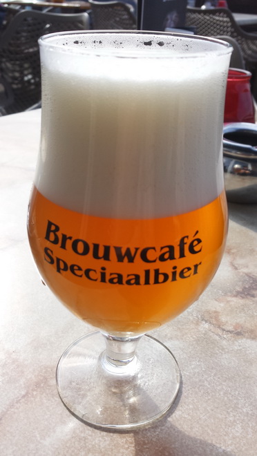 De Hofnar 