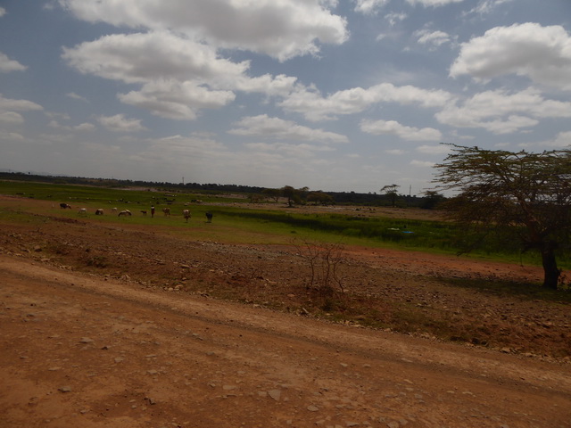 Kenia Fahrt Bogoria nach Samburu Kenia Fahrt Bogoria nach Samburu