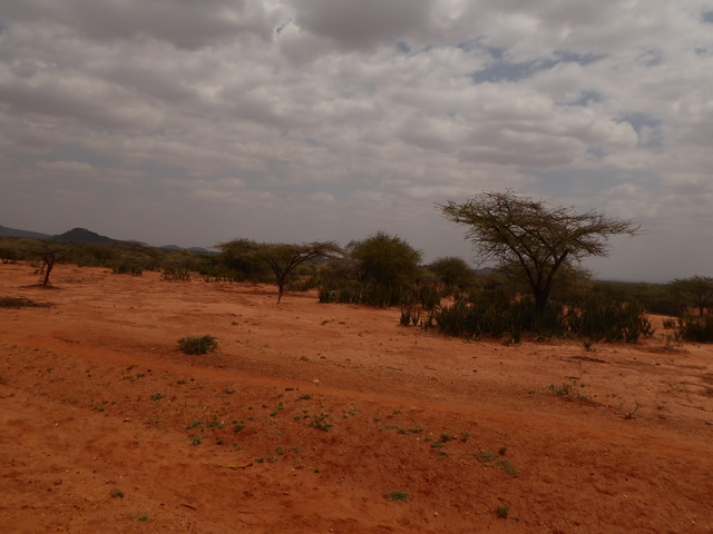 Kenia Fahrt Bogoria nach Samburu Kenia Fahrt Bogoria nach Samburu