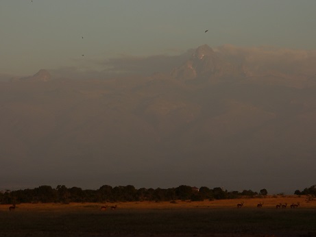 Safari Mount Kenia 2016Safari Mount Kenia 2016