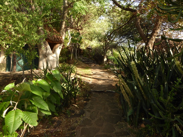 Kenia Lake Baringo Island Camp walkpath