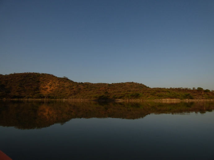 Kenia Lake Baringo Eisvogel