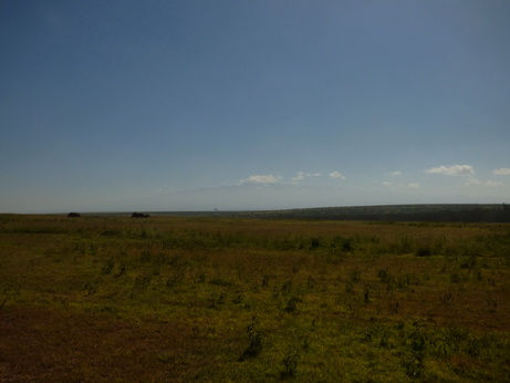 solio Ranch Rhino