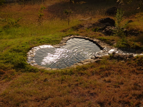 Sunbird Lodge Lake Elementaita Kenia Lodgearea Pool