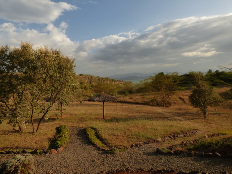 Sunbird Lodge Lake Elementaita Kenia Lodgearea Pool