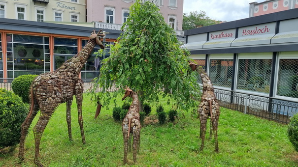 seltene Kurgäste aus Eisen