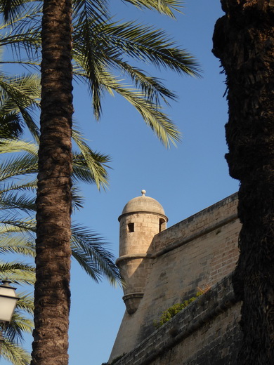 Palma de Mallorca Mallorca Avenida de Gabriel Roca Palma de Mallorca Mallorca Avenida de Gabriel Roca