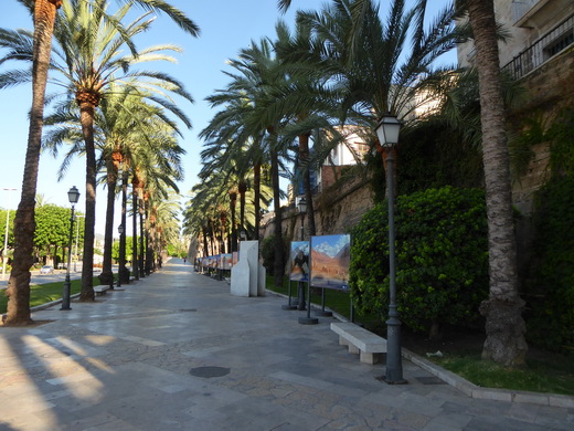 Palma de Mallorca Mallorca Avenida de Gabriel Roca Palma de Mallorca Mallorca Avenida de Gabriel Roca