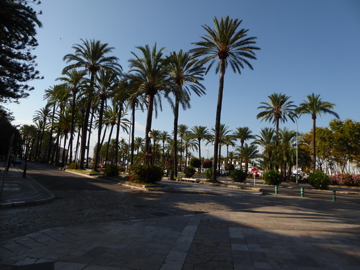 Palma de Mallorca Mallorca Avenida de Gabriel Roca Palma de Mallorca Mallorca Avenida de Gabriel Roca