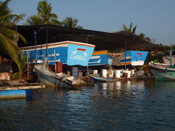 Negombo Boatsafari Mangroves Fisherman Church