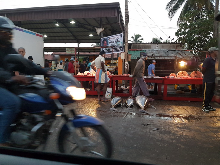 Fishmarket