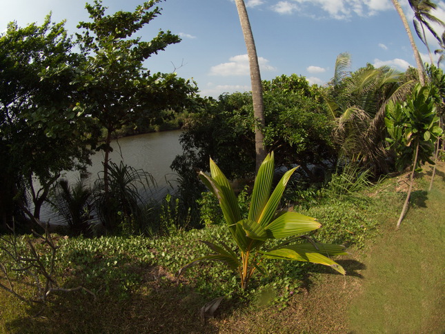 Waikkal suriyaresort Waikkal suriya resort