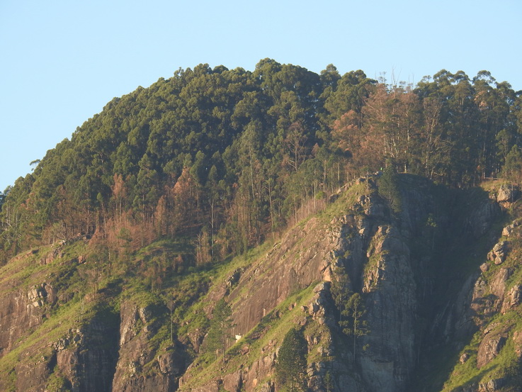 Road to Ella Gap