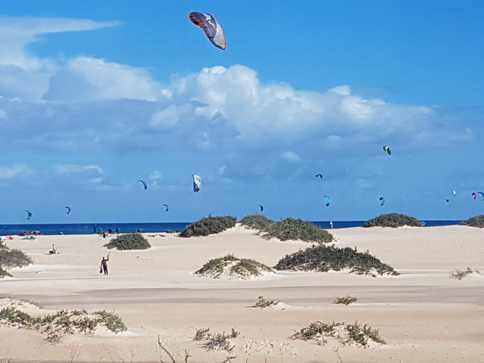 Isla Los Lobos Puerto de Corralejo Fuerteventura Isla Los Lobos Puerto de Corralejo Fuerteventura
