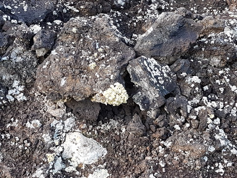 Lanzarote Timanfaya-Nationalpark Parque Nacional de Timanfaya