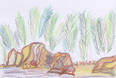 rockpalms